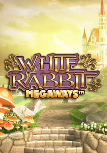 booi-white-rabbit.png