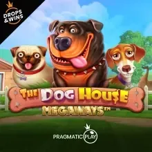 st8-pgp_the_dog_house_megaways-1759234061